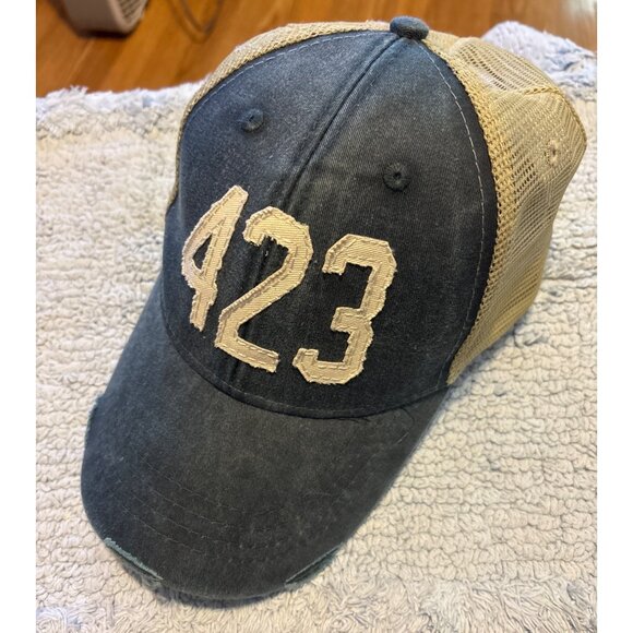 423 Area Code Distressed Trucker Hat Denim Vintage-Style Cotton Mule Mesh Back - Picture 2 of 8